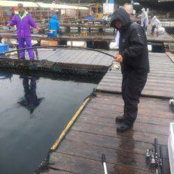 釣り堀水宝 釣果