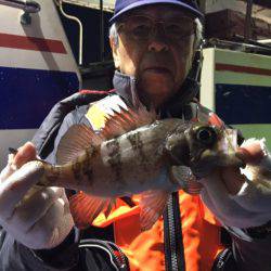 ヤザワ渡船 釣果