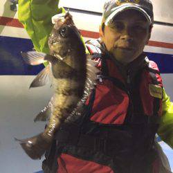 ヤザワ渡船 釣果