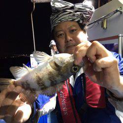 ヤザワ渡船 釣果