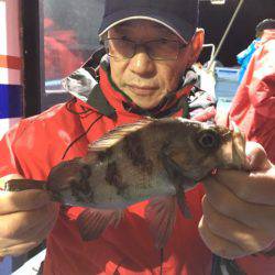 ヤザワ渡船 釣果