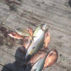 釣り堀水宝 釣果