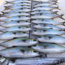 ビッグファイター 釣果