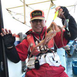 ヤザワ渡船 釣果