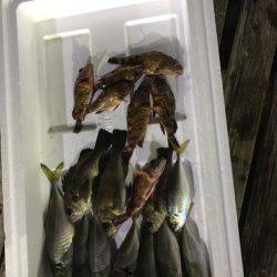 ヤザワ渡船 釣果