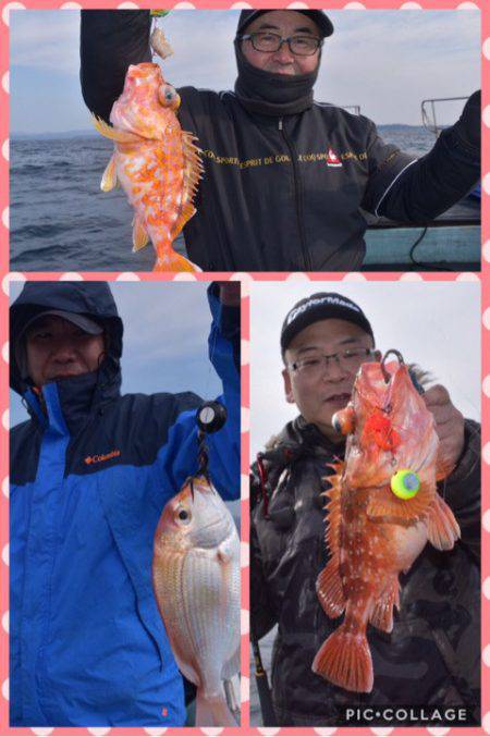 渡船屋たにぐち 釣果