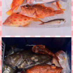 渡船屋たにぐち 釣果