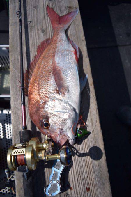 渡船屋たにぐち 釣果