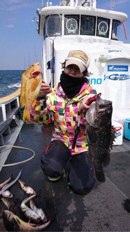 シーランチ 釣果