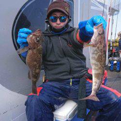 シーランチ 釣果