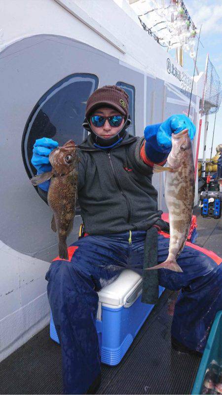 シーランチ 釣果