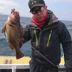 シーランチ 釣果