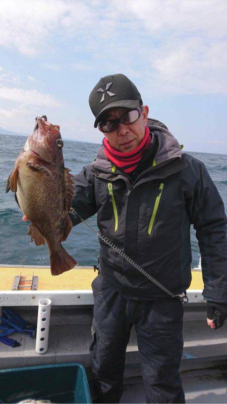 シーランチ 釣果