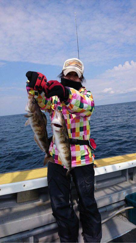 シーランチ 釣果