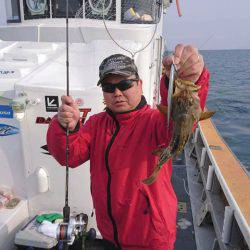 シーランチ 釣果