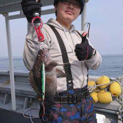 シーランチ 釣果