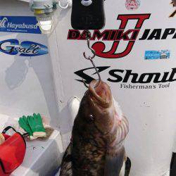 シーランチ 釣果