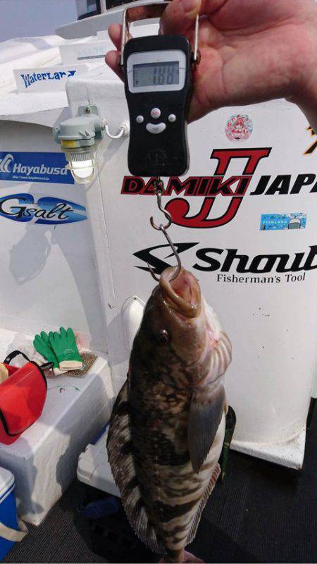 シーランチ 釣果