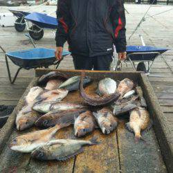 釣り堀水宝 釣果