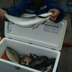 釣り堀水宝 釣果