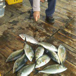 釣り堀水宝 釣果