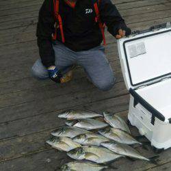 釣り堀水宝 釣果