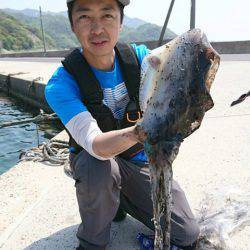 幕島丸 釣果