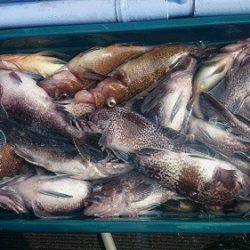 小樽港遊漁船SHAKE 釣果