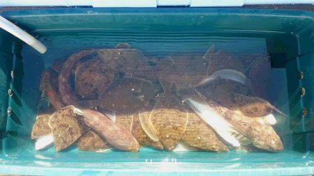 小樽港遊漁船SHAKE 釣果