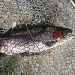 平谷湖フィッシングスポット 釣果