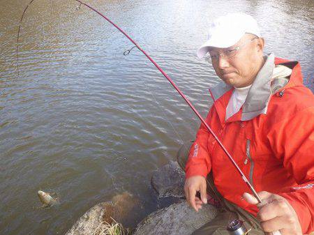 平谷湖フィッシングスポット 釣果