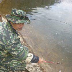 平谷湖フィッシングスポット 釣果