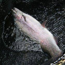 平谷湖フィッシングスポット 釣果