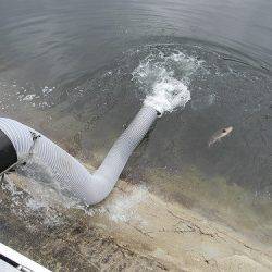 平谷湖フィッシングスポット 釣果