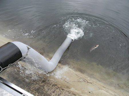 平谷湖フィッシングスポット 釣果