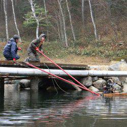 平谷湖フィッシングスポット 釣果