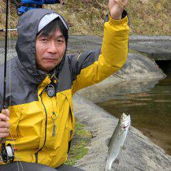 平谷湖フィッシングスポット 釣果