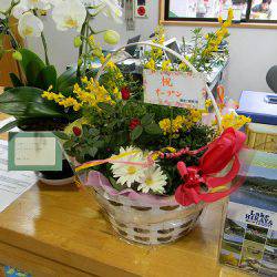 平谷湖フィッシングスポット 釣果