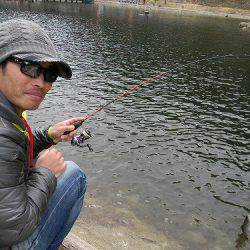 平谷湖フィッシングスポット 釣果