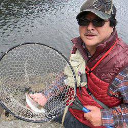 平谷湖フィッシングスポット 釣果