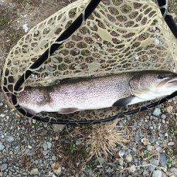 平谷湖フィッシングスポット 釣果