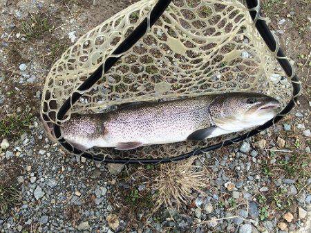 平谷湖フィッシングスポット 釣果