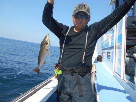 佐衛美丸 釣果