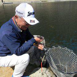 平谷湖フィッシングスポット 釣果