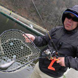 平谷湖フィッシングスポット 釣果