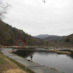 平谷湖フィッシングスポット 釣果