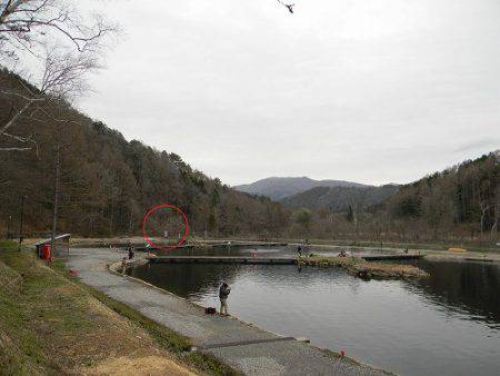 平谷湖フィッシングスポット 釣果