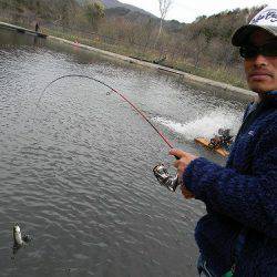 平谷湖フィッシングスポット 釣果