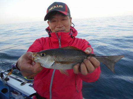 佐衛美丸 釣果