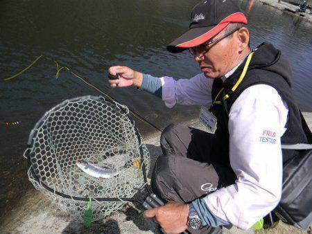 平谷湖フィッシングスポット 釣果